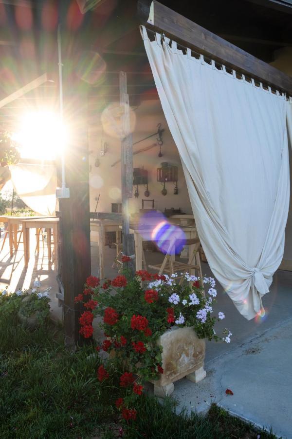 Bed and Breakfast A Lu Fanizza Cutrofiano Esterno foto