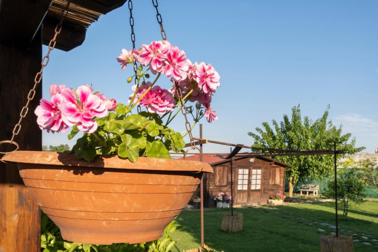 Bed and Breakfast A Lu Fanizza Cutrofiano Esterno foto